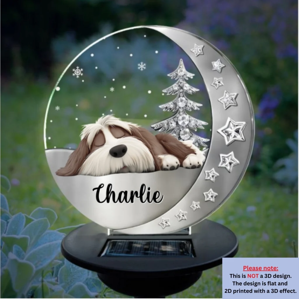 Beside You - Personalized Custom 3D Effect Solar Light - Image 6