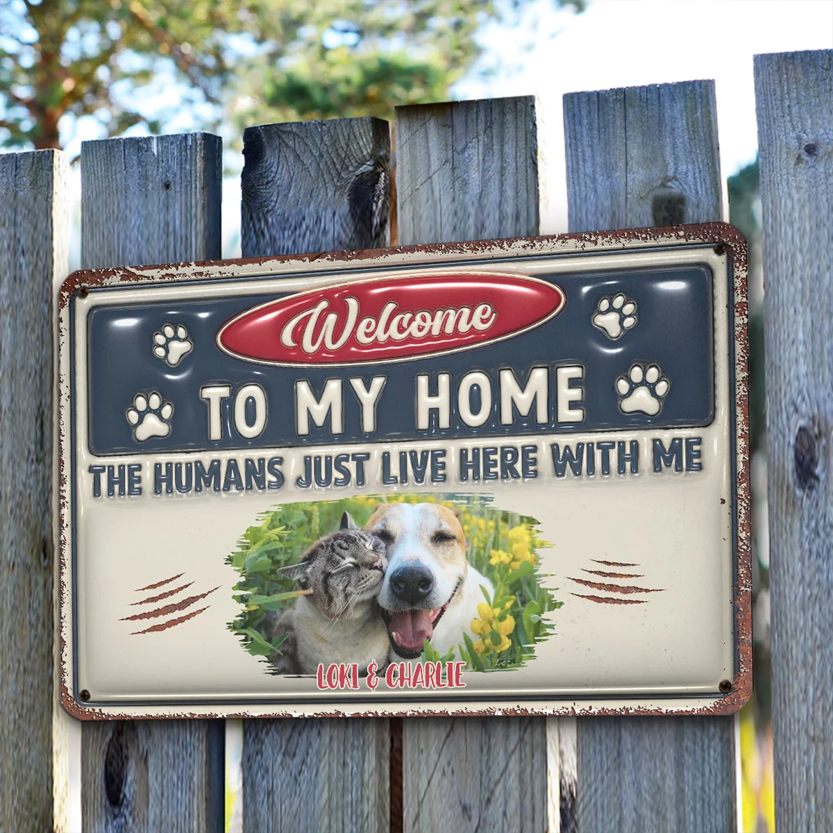 Just Live Here Photo - Personalized Custom 3D Inflated Effect Metal Sign