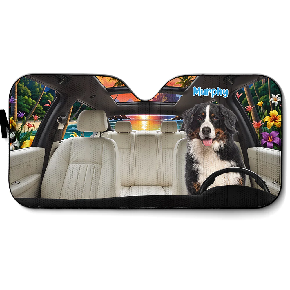 Let Us Hang Out Photo - Personalized Custom Car Sunshade