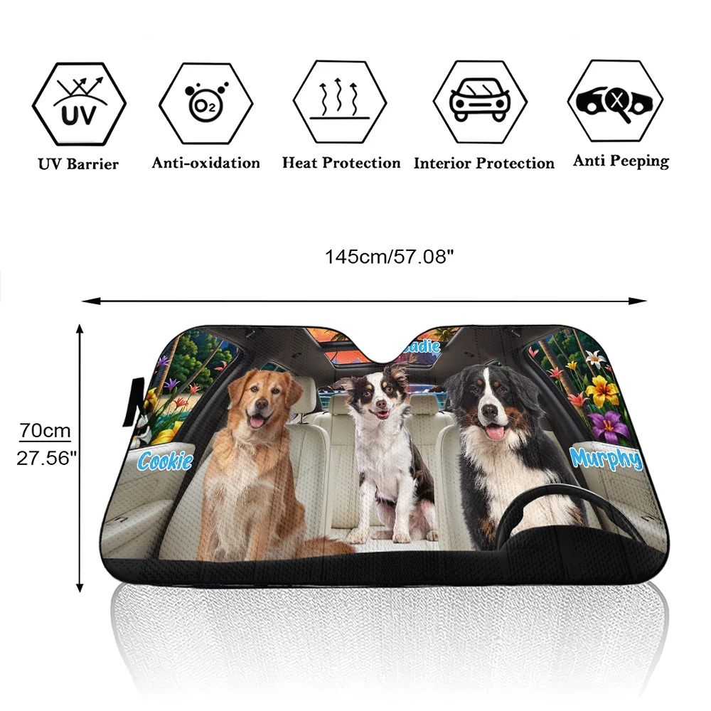 Let Us Hang Out Photo - Personalized Custom Car Sunshade - Image 4