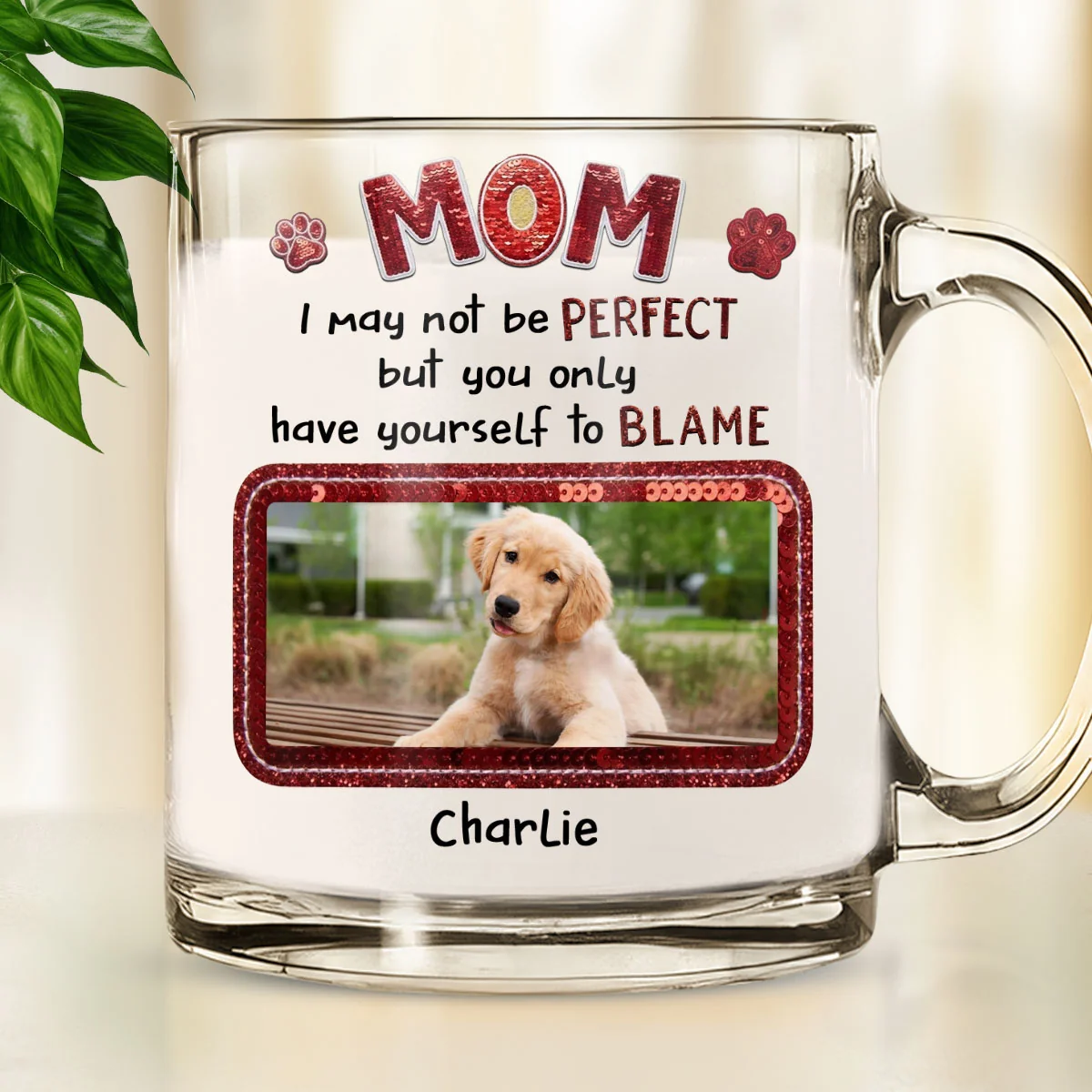 May Not Perfect Photo - Personalized Custom Glass Mug
