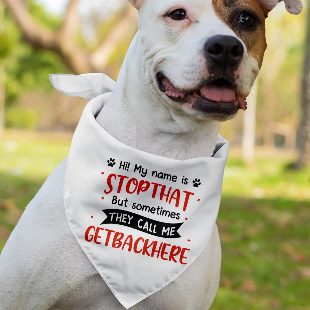 My Name Is Stop That - Dog Bandana - Image 3
