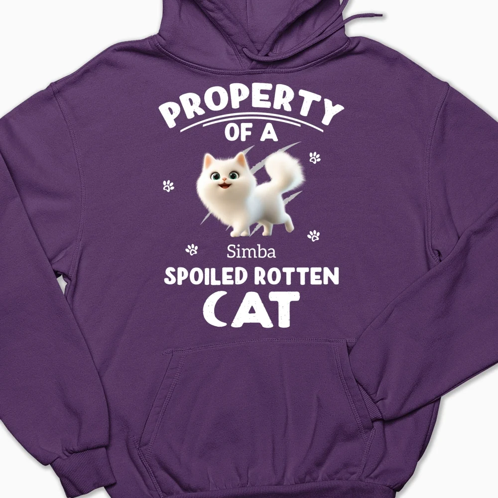 Our Official Property - Personalized Custom Hoodie - Image 9