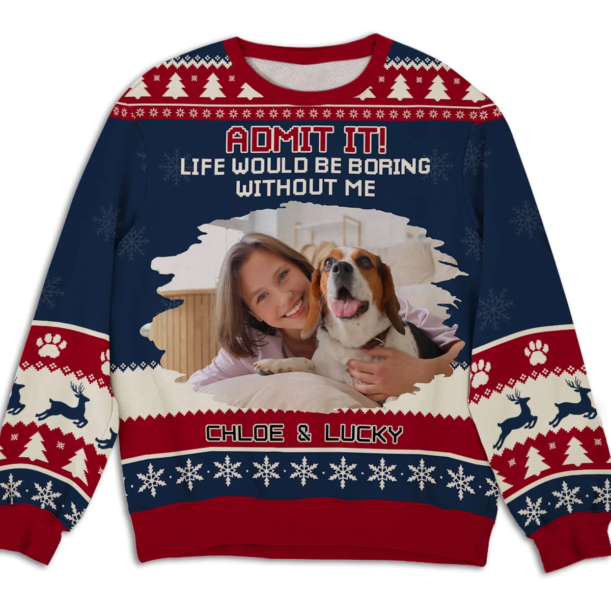Snowy Pawlidays Pet Cartoon Photo - Personalized Custom All-Over-Print Sweatshirt