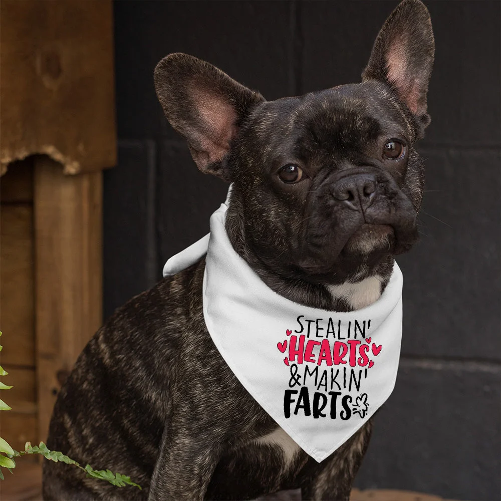 Stealin' Hearts and Makin' Farts - Dog Bandana - Image 4